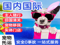 普宁机场空运国际宠物托运 【国